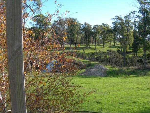 Villa Platypus Park Country Retreat Bridport Zimmer foto