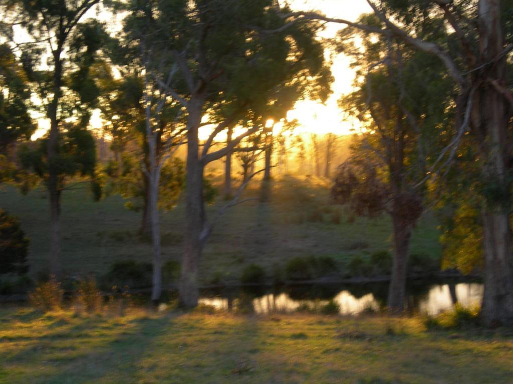 Villa Platypus Park Country Retreat Bridport Zimmer foto