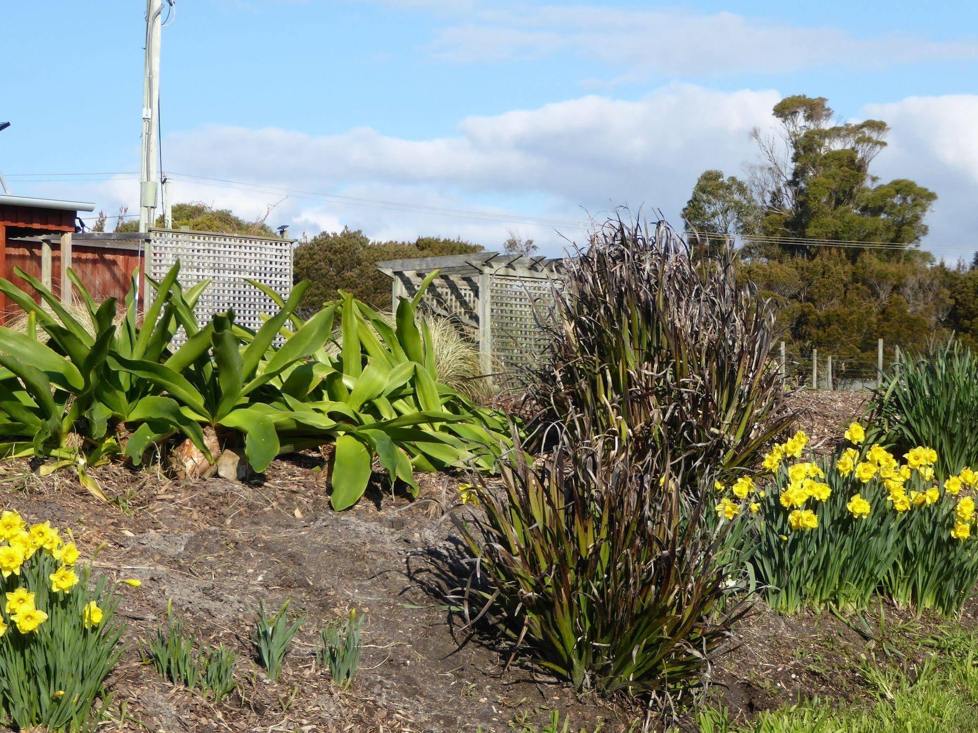 Villa Platypus Park Country Retreat Bridport Exterior foto