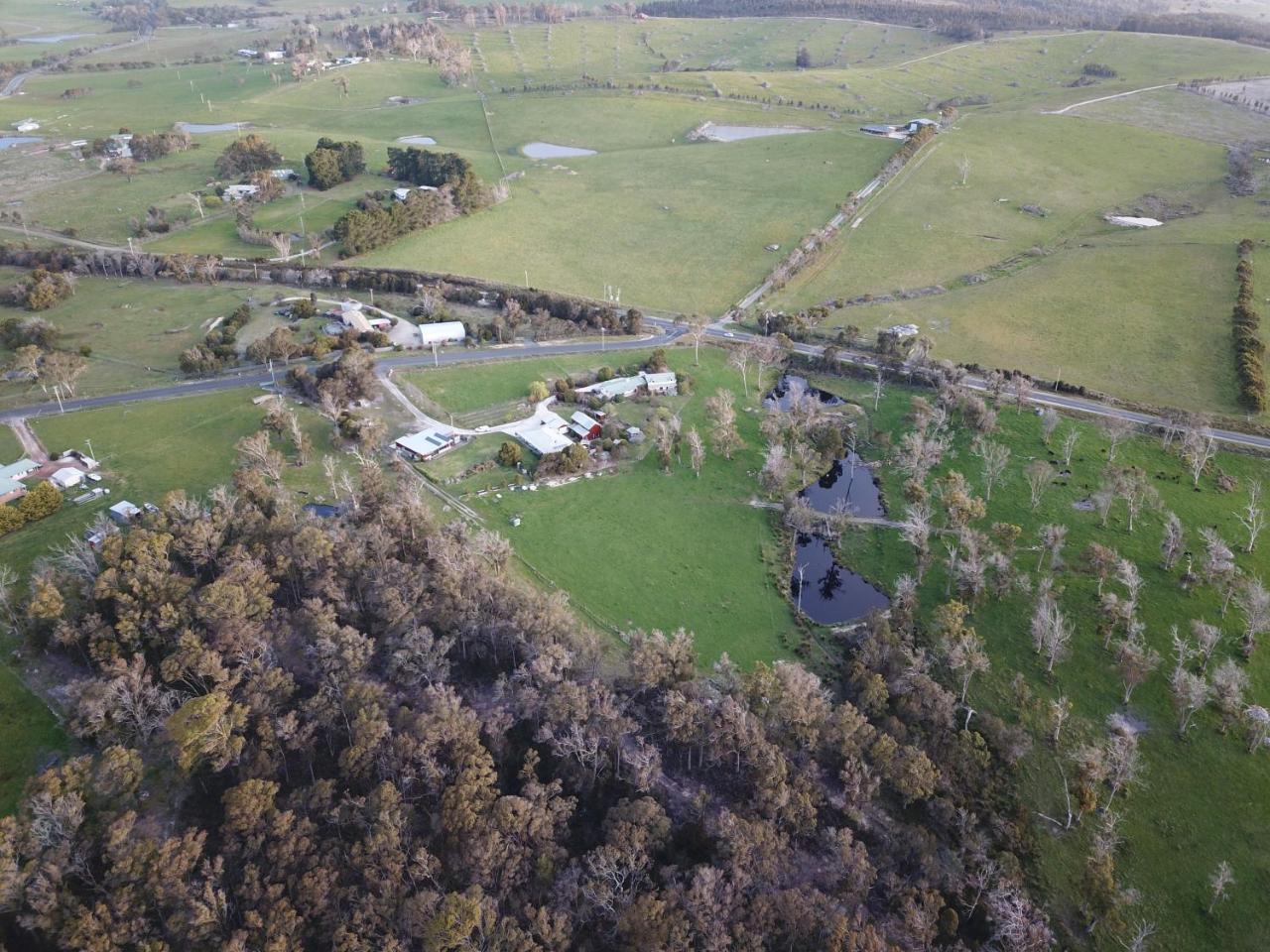 Villa Platypus Park Country Retreat Bridport Exterior foto